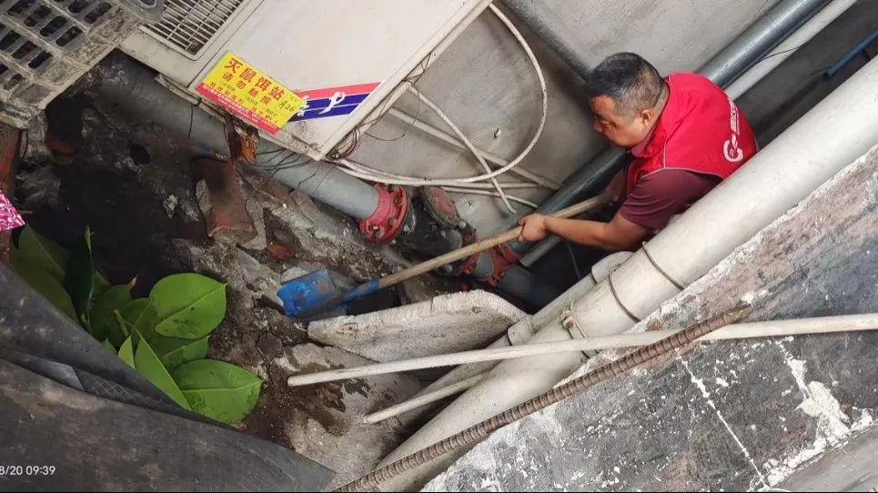 黨員先行做表率 防汛救災做先鋒(圖4)